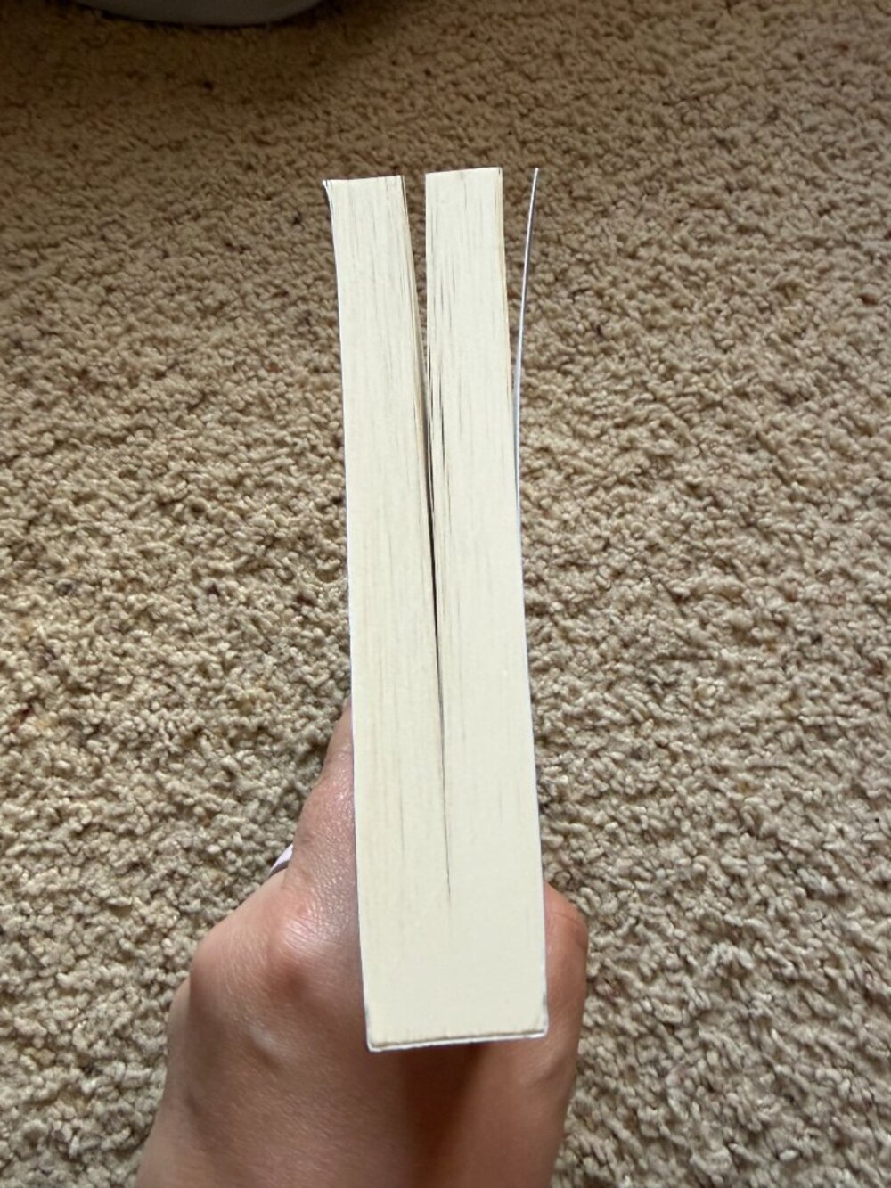 Runaway Fate by Elizabeth Hunter (Paperback) - Picture 6 of 6